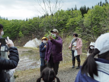 20210503_山菜探し01