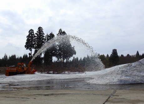 jyosetu kyororo satoru 20190422DSCN5105