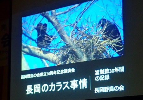 s-yatyousyuukai 20190525P5251034