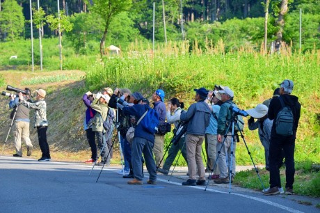 stantyoukai20190525DSC_0962_00001 (10)