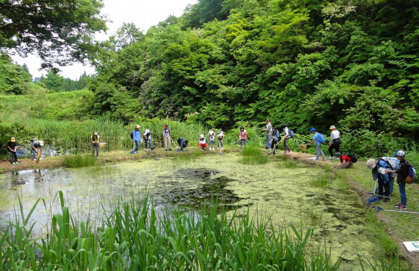 自然体験プログラム　池