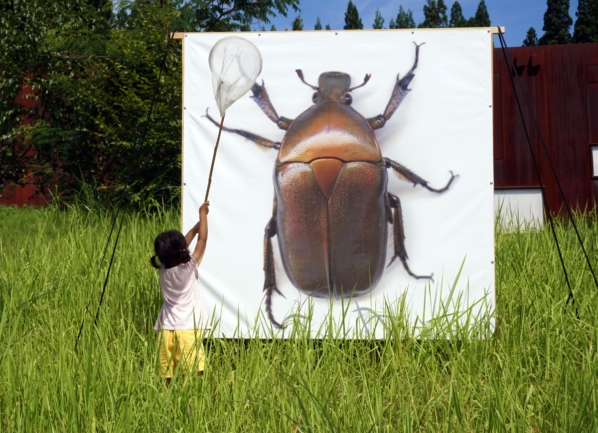Life-size 超高解像度人間大昆虫写真（橋本典久＋SCOPE）