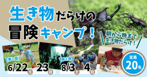 生き物だらけの冒険キャンプ @ ▲越後妻有大厳寺高原キャンプ場