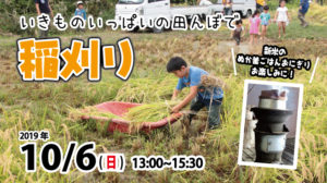 稲刈り @ 森の学校キョロロ