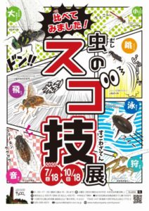 【夏季企画展】比べてみました！虫のスゴ技展 @ 「森の学校」キョロロ